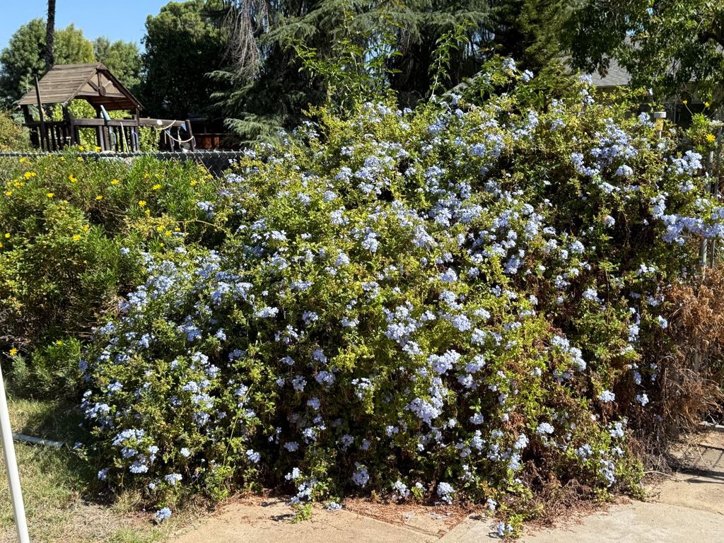 Image 20 of property listing at 742 S Park Circle Drive, Fresno, CA 93727