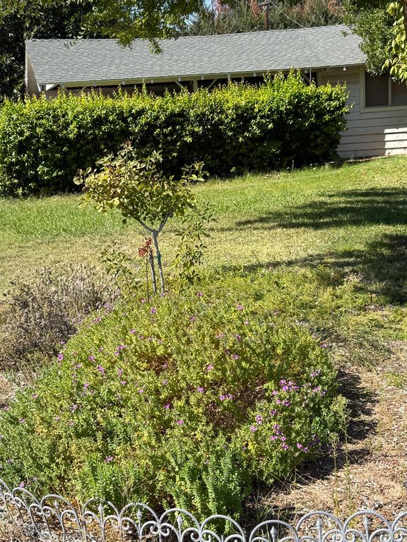 Image 5 of property listing at 742 S Park Circle Drive, Fresno, CA 93727