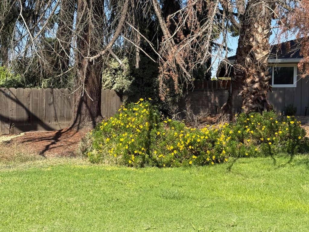 Image 7 of property listing at 742 S Park Circle Drive, Fresno, CA 93727