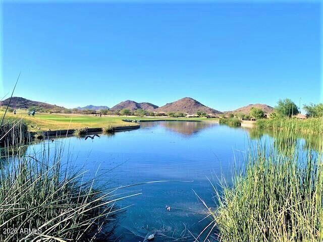 925 E Canyon Rock Road, San Tan Valley, AZ 85143