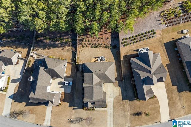 1203 CHELSEA PARK TRAIL, Chelsea, AL 35043