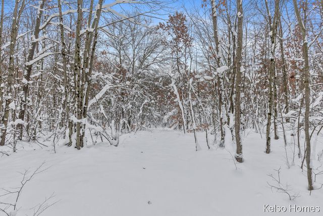 1072 N Bingham Avenue, White Cloud, MI 49349