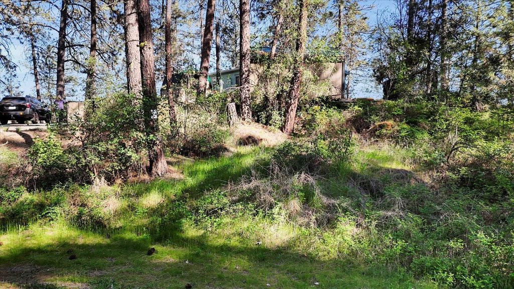13901 S Clear Lake Way, Cheney, WA 99004 photo 12