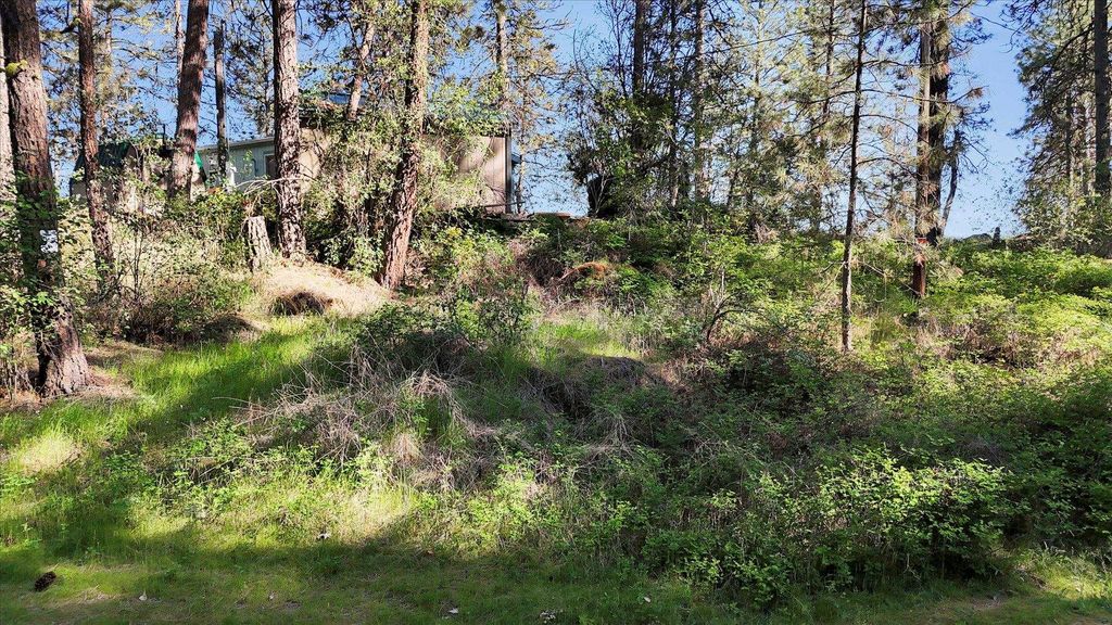 13901 S Clear Lake Way, Cheney, WA 99004 photo 13