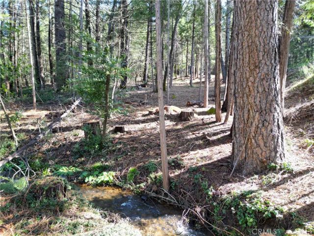 0 Skyway, Magalia, CA 95954