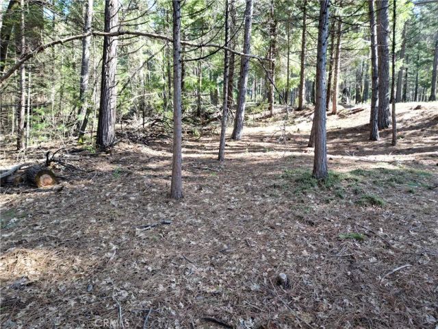 0 Skyway, Magalia, CA 95954