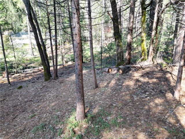 0 Skyway, Magalia, CA 95954