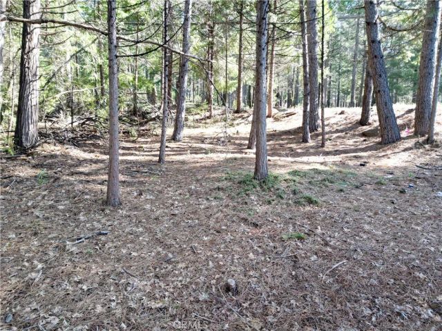 0 Skyway, Magalia, CA 95954