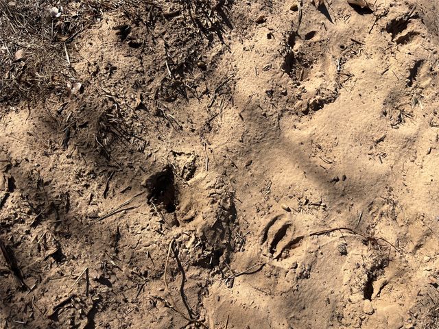 6164 County Road 264, Dublin, TX 76446