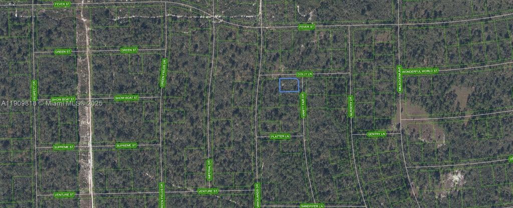 305 Dolly Lane, Lake Placid, FL 33852