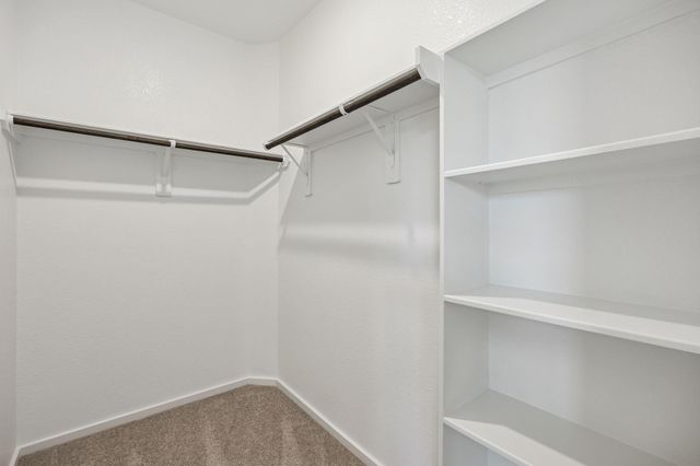 30531 Wolfburn Street, Waller, TX 77484