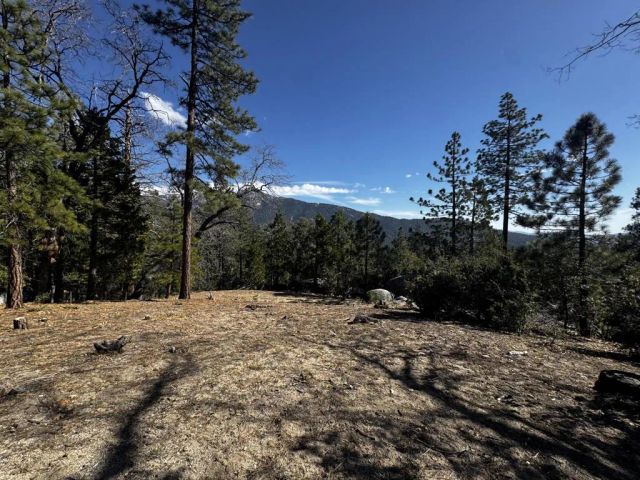 25327 Scenic View, Idyllwild, CA 92549