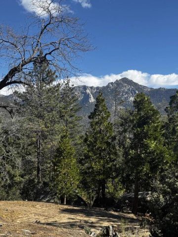 25327 Scenic View, Idyllwild, CA 92549