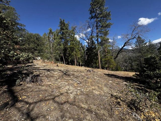 25327 Scenic View, Idyllwild, CA 92549