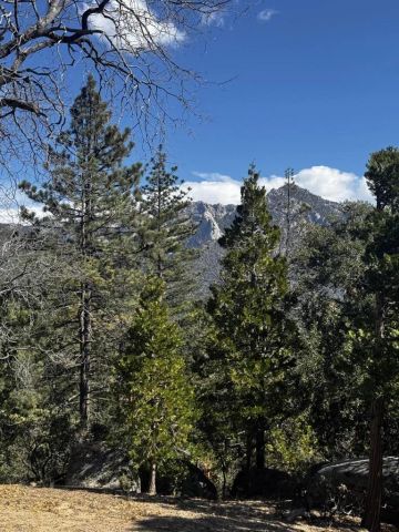 25327 Scenic View, Idyllwild, CA 92549