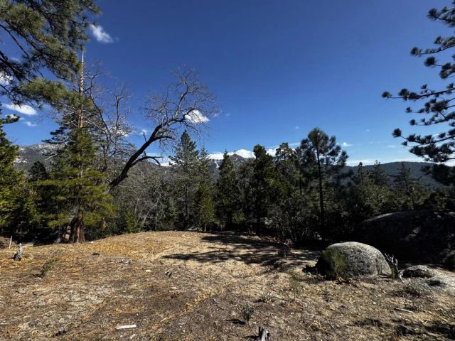25327 Scenic View, Idyllwild, CA 92549