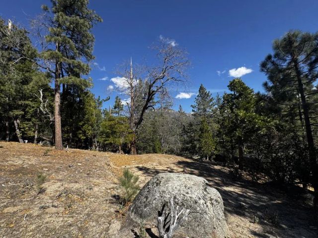 25327 Scenic View, Idyllwild, CA 92549