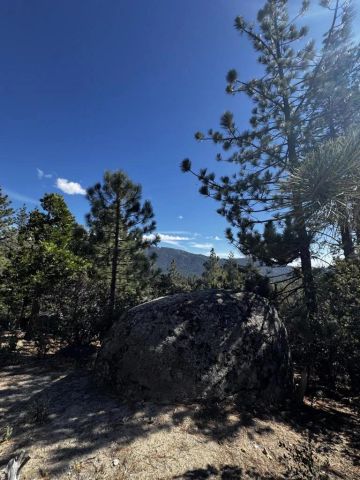 25327 Scenic View, Idyllwild, CA 92549