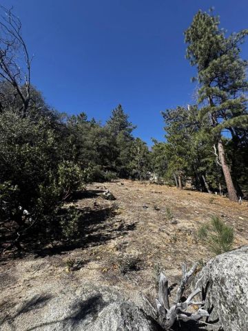 25327 Scenic View, Idyllwild, CA 92549