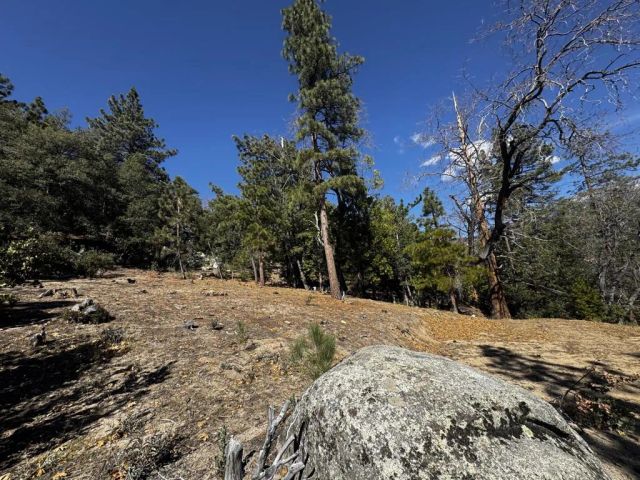 25327 Scenic View, Idyllwild, CA 92549