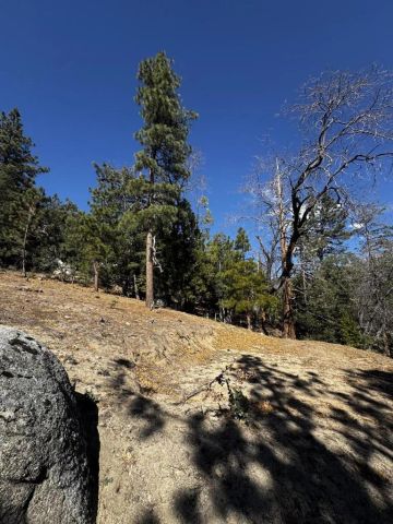 25327 Scenic View, Idyllwild, CA 92549