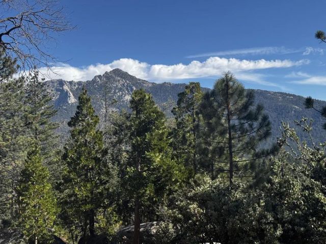 25327 Scenic View, Idyllwild, CA 92549