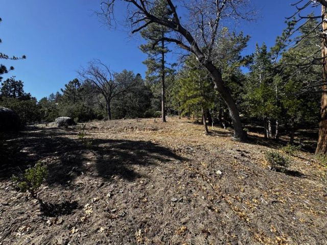 25327 Scenic View, Idyllwild, CA 92549