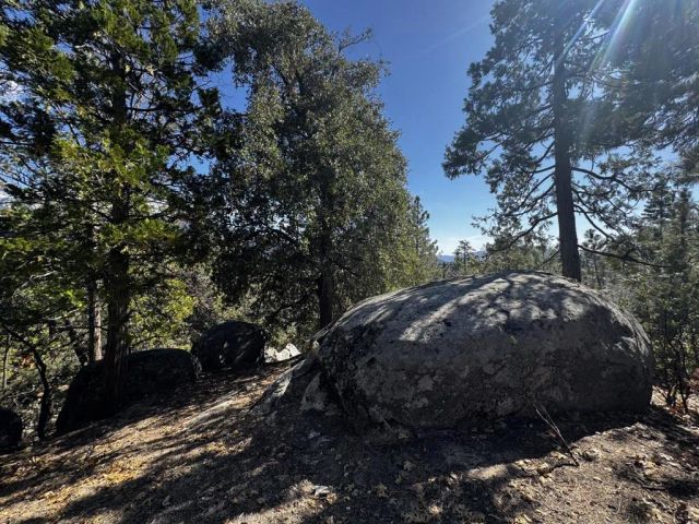 25327 Scenic View, Idyllwild, CA 92549