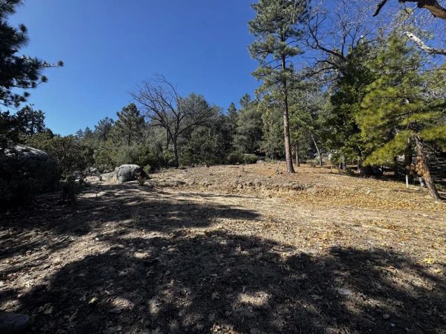 25327 Scenic View, Idyllwild, CA 92549