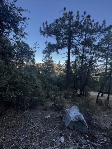 25327 Scenic View, Idyllwild, CA 92549