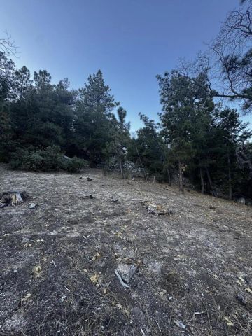 25327 Scenic View, Idyllwild, CA 92549