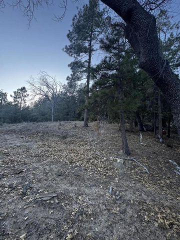 25327 Scenic View, Idyllwild, CA 92549