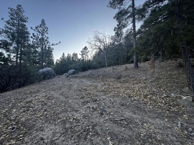 25327 Scenic View, Idyllwild, CA 92549