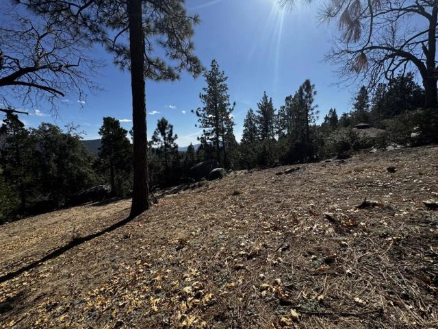 25327 Scenic View, Idyllwild, CA 92549