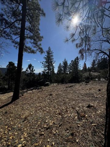 25327 Scenic View, Idyllwild, CA 92549