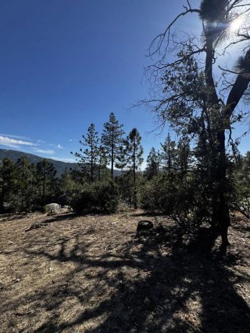 25327 Scenic View, Idyllwild, CA 92549