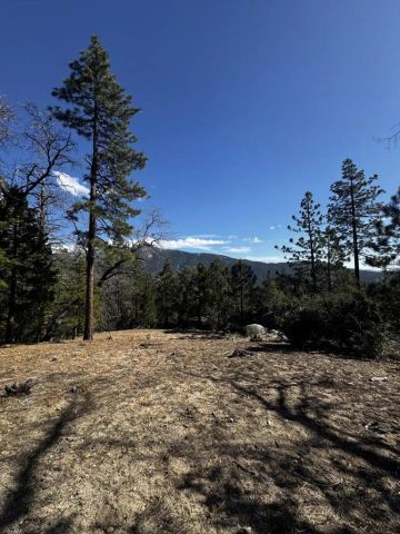 25327 Scenic View, Idyllwild, CA 92549