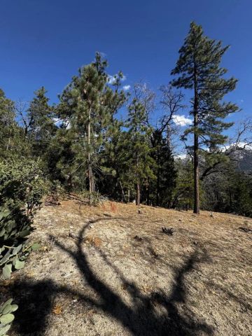 25327 Scenic View, Idyllwild, CA 92549