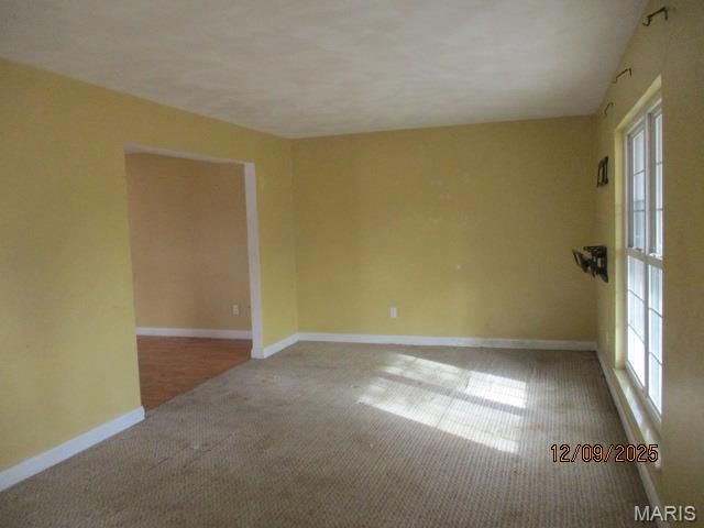 55 Blanc Lee Drive, Belleville, IL 62226