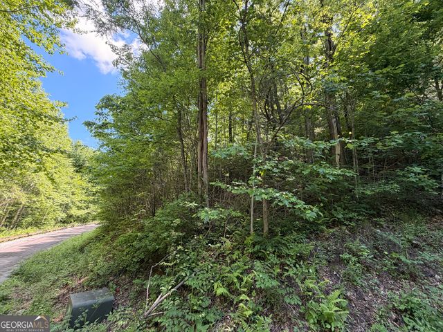 C Shake Hollow, Rabun Gap, GA 30568
