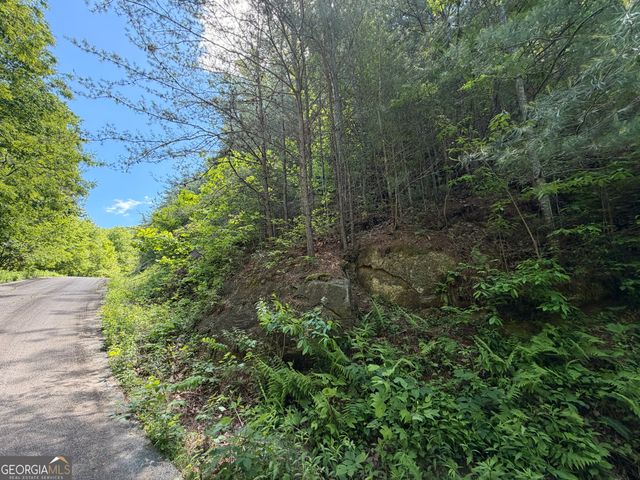 C Shake Hollow, Rabun Gap, GA 30568