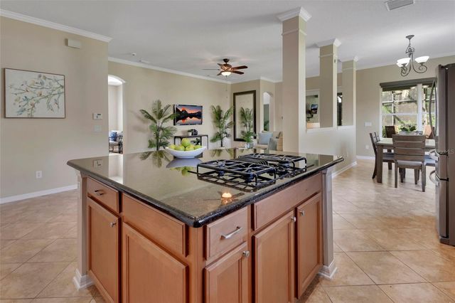 186 BIRCHMONT DRIVE, Deland, FL 32724