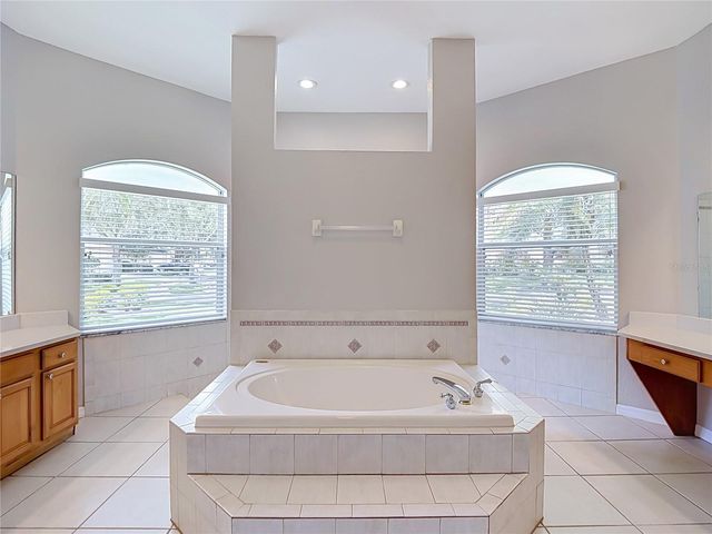 10221 GARDEN ALCOVE DRIVE, Tampa, FL 33647