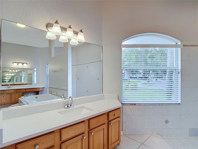 10221 GARDEN ALCOVE DRIVE, Tampa, FL 33647