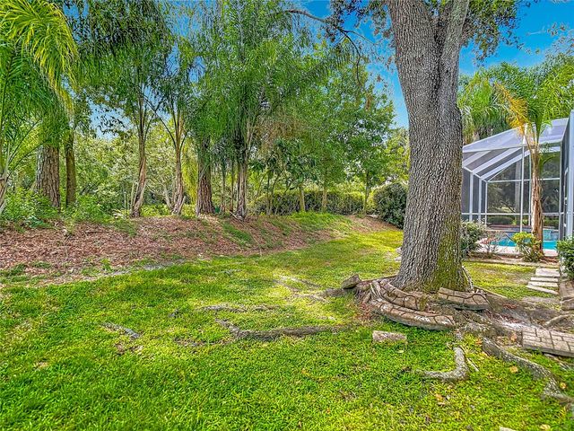 10221 GARDEN ALCOVE DRIVE, Tampa, FL 33647
