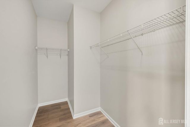 102 forest Drive, Piscataway, NJ 08854