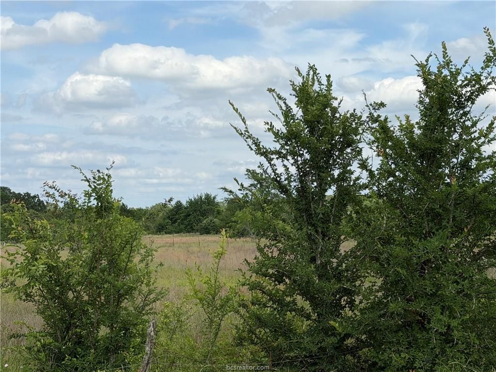 TBD Tonkaway Lake (Pvt) Rd-1.712, College Station, TX 77845 — photo 4