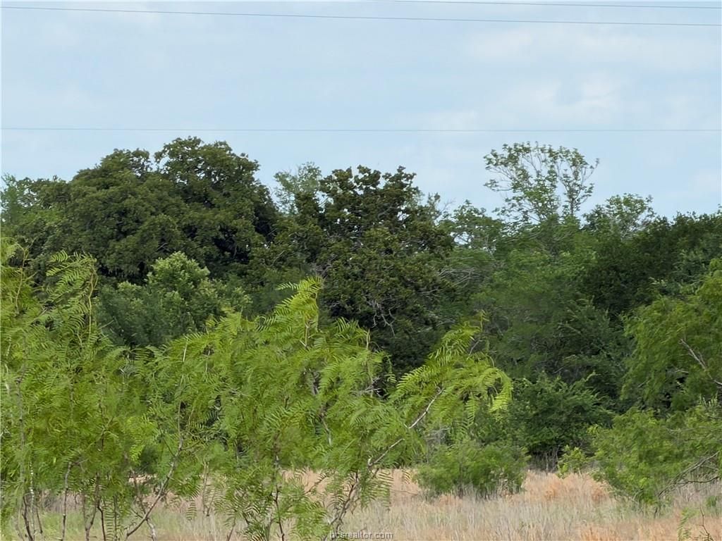 TBD Tonkaway Lake (Pvt) Rd-1.712, College Station, TX 77845 — photo 5