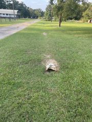 41and42 Lisa Lane, Streetman, TX 75859