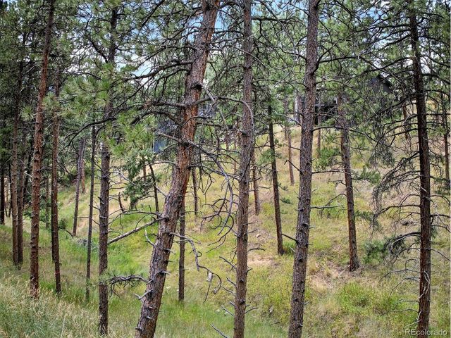 3144 Snow Trillium Way, Evergreen, CO 80439